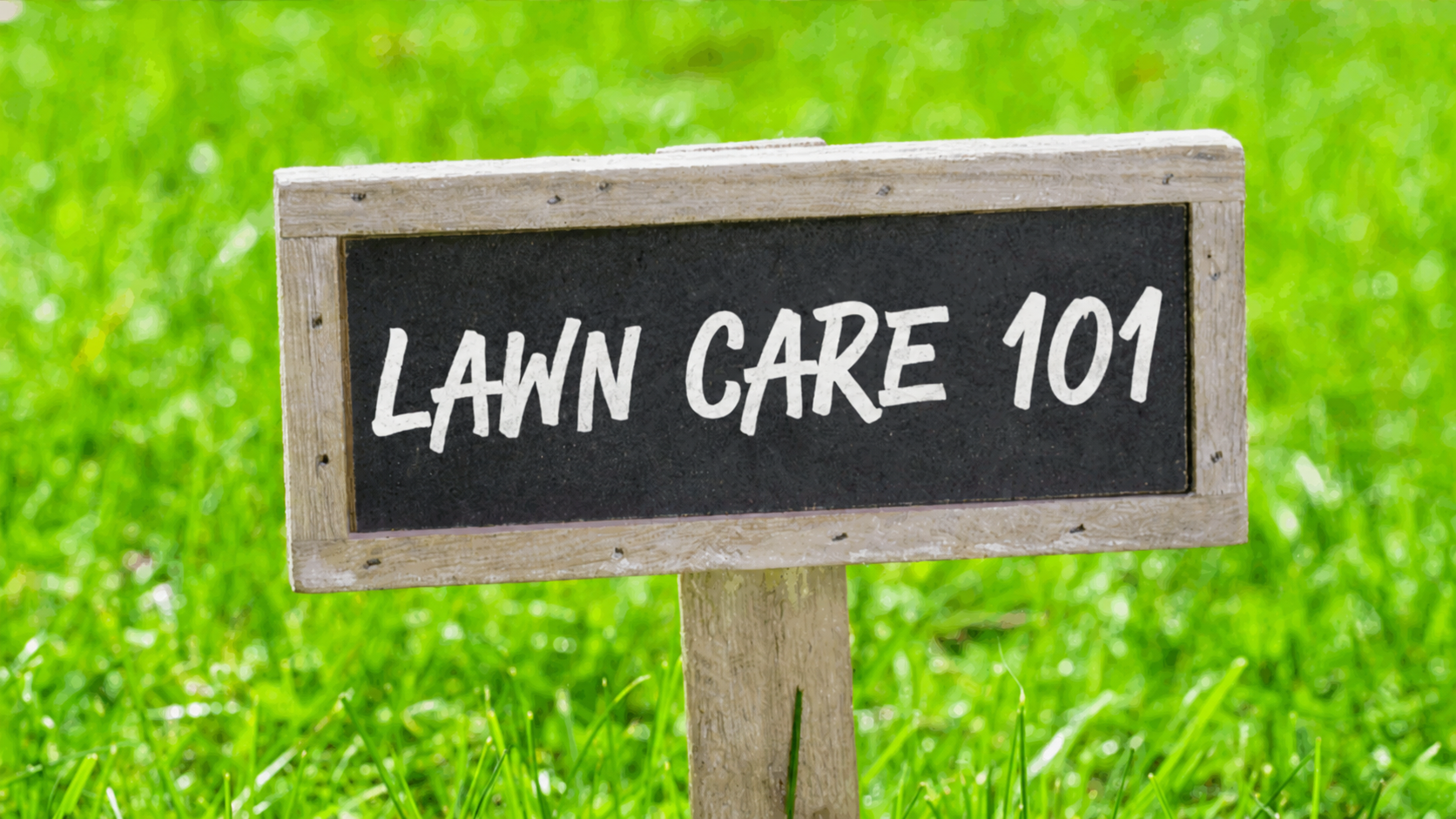 Lawn Care 101