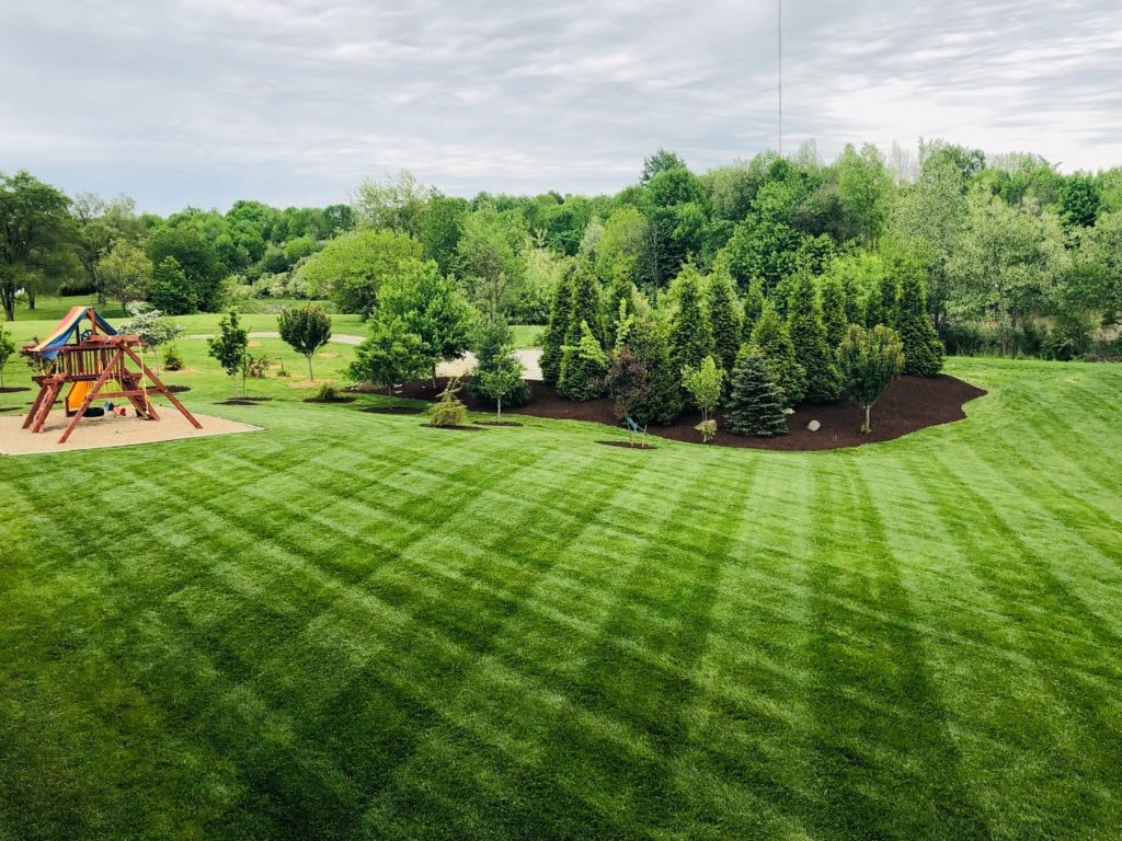 Organic Lawn Care